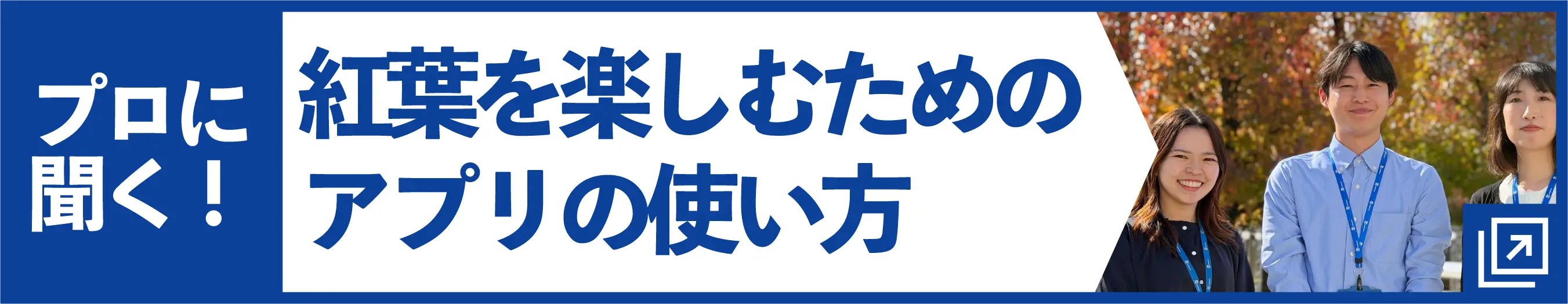 紅葉予報の裏側