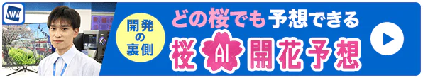 桜AI開花予想の裏側