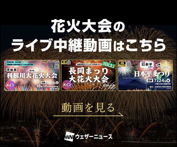 花火ライブ動画