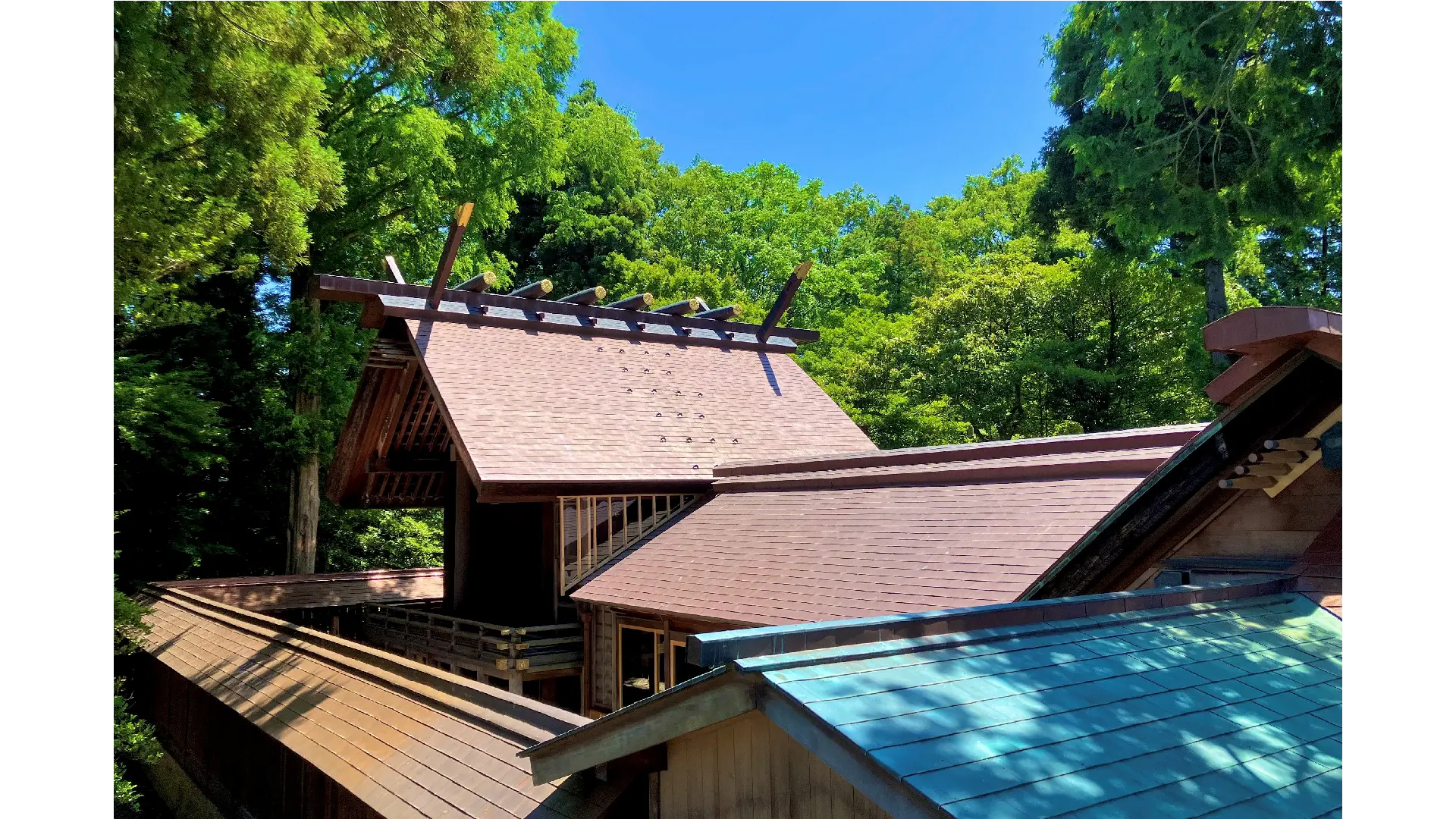 越中総鎮守一宮　射水神社