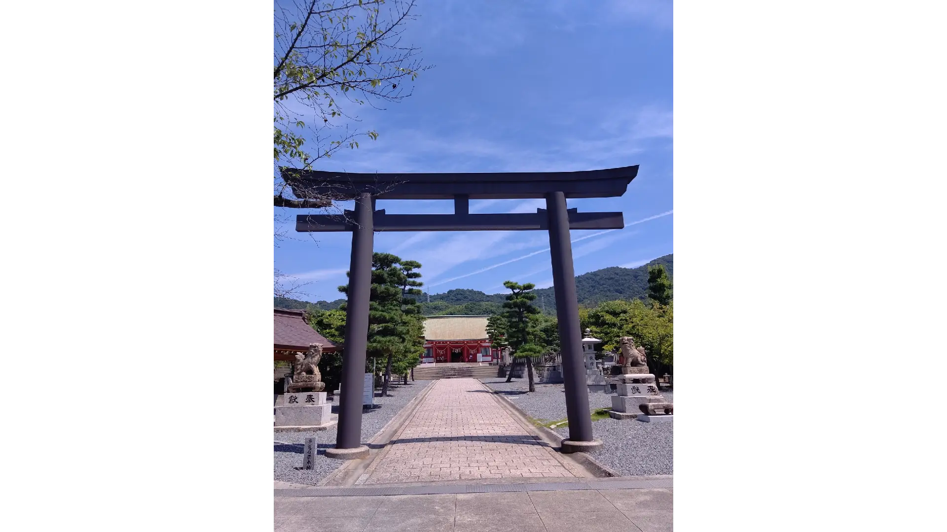 亀山神社