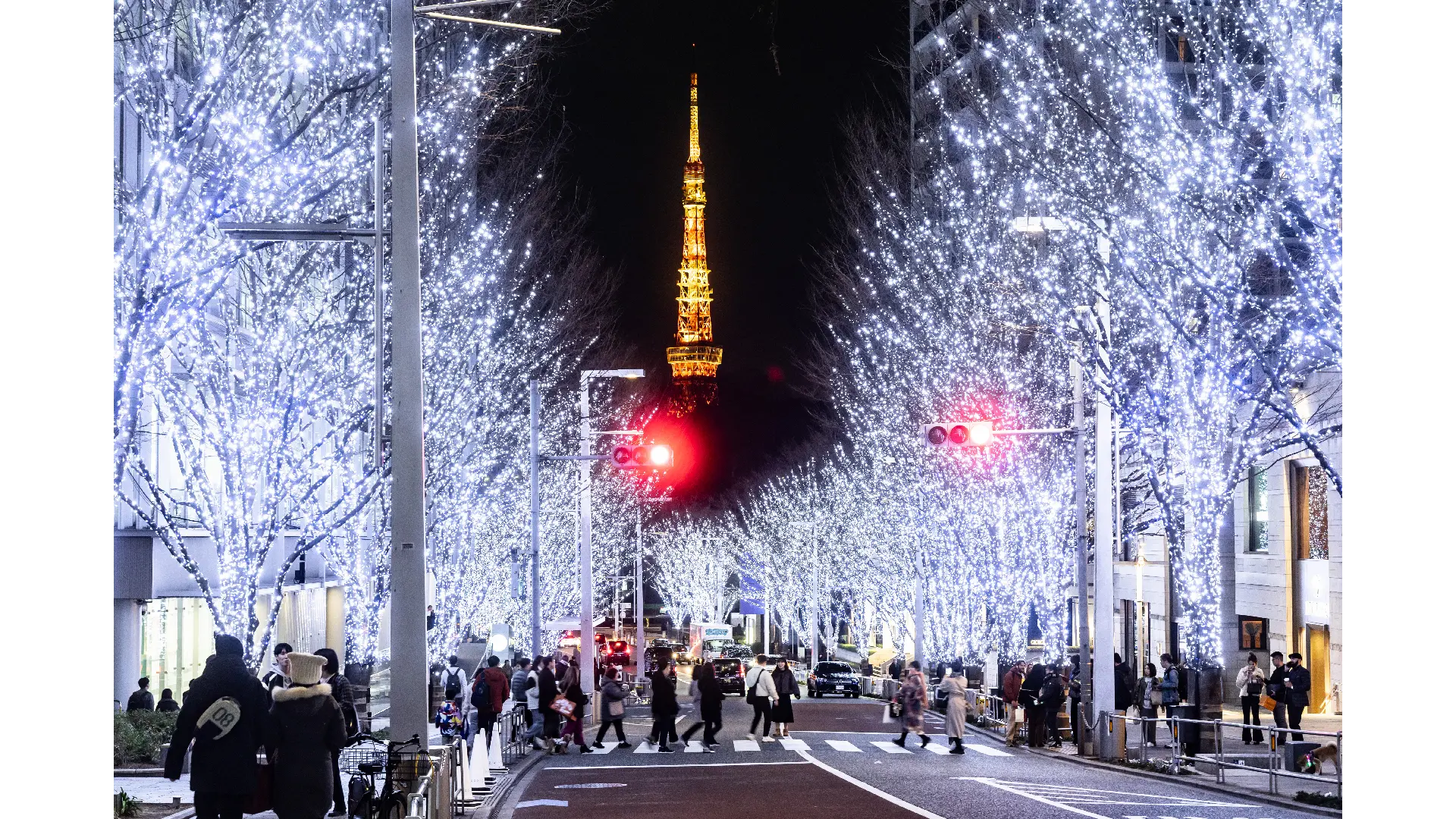 Roppongi Hills Christmas 2024 - イルミネーション情報【2024