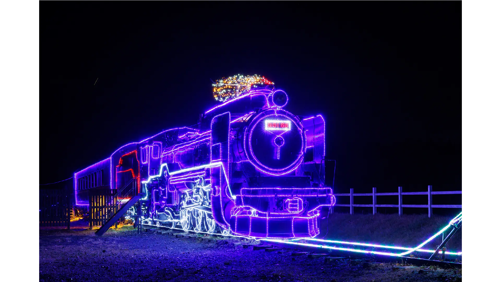 ビッグツリーページェント・フェスタ IN KORIYAMA - イルミネーション