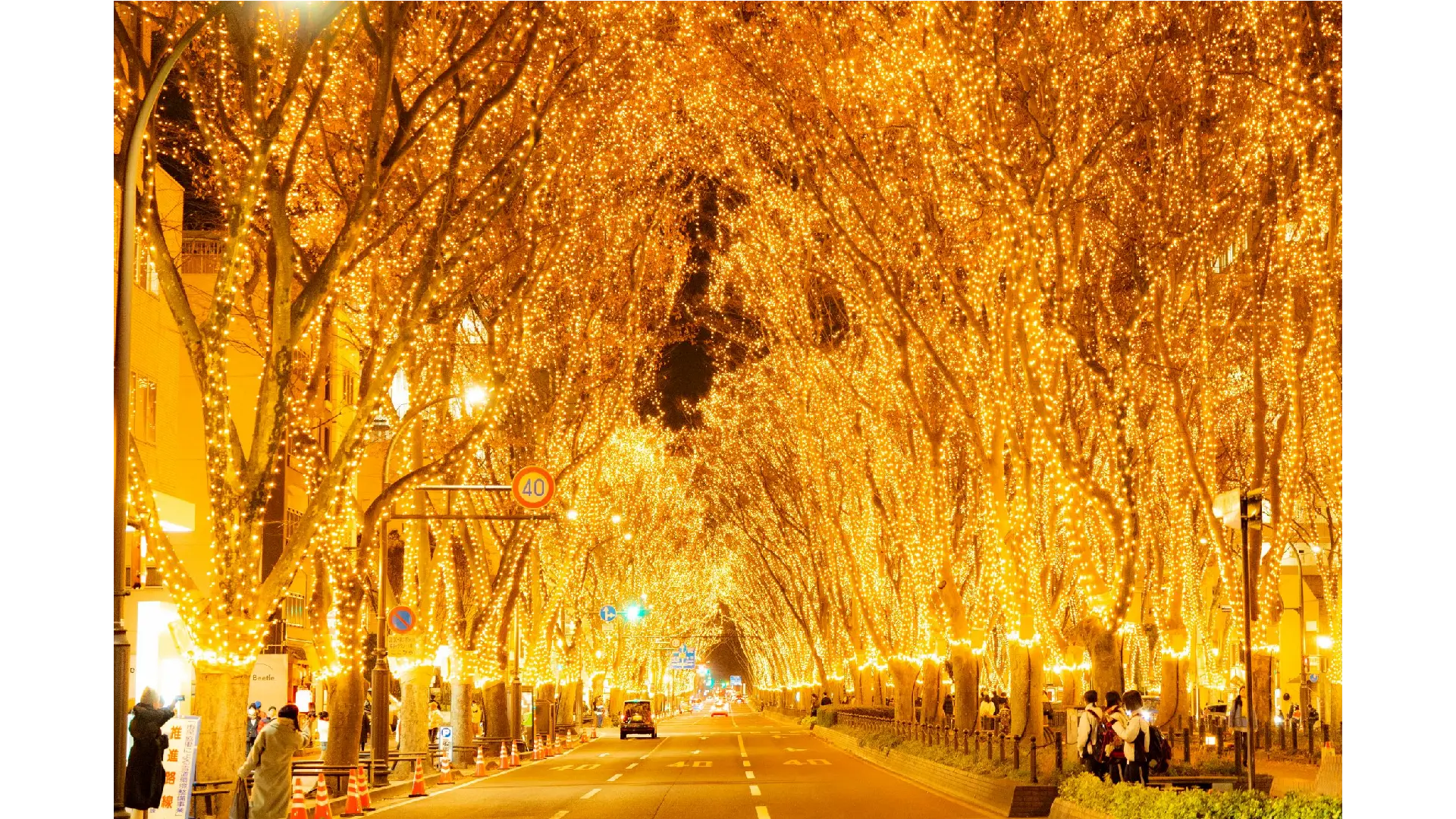 みさわクリスマスフェスタ - イルミネーション情報【2025-2026