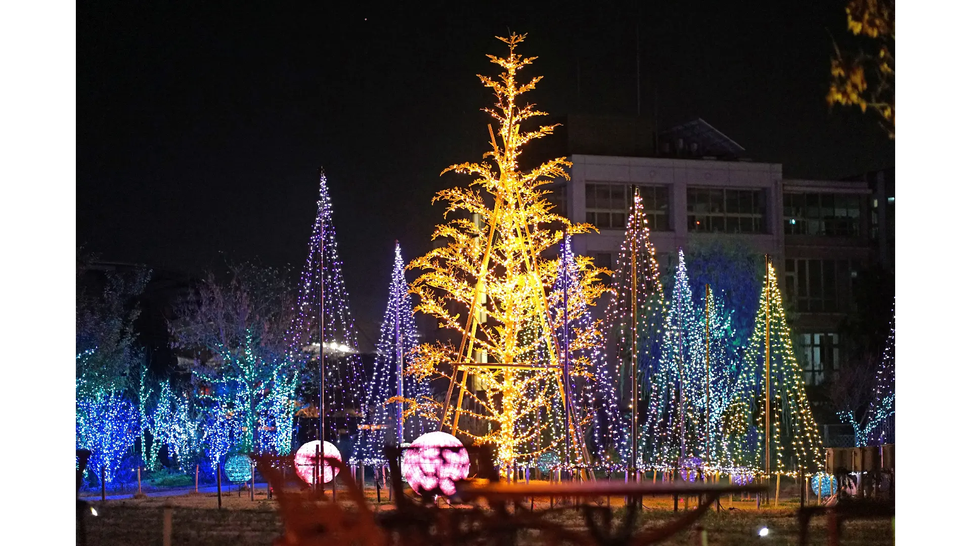 いくとぴあ食花 WINTER ILLUMINATION - イルミネーション情報【2025