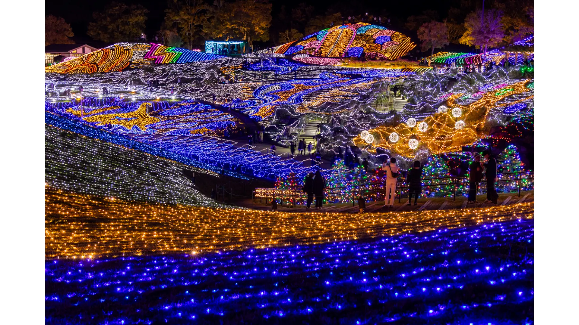 まん の う 公園 イルミネーション