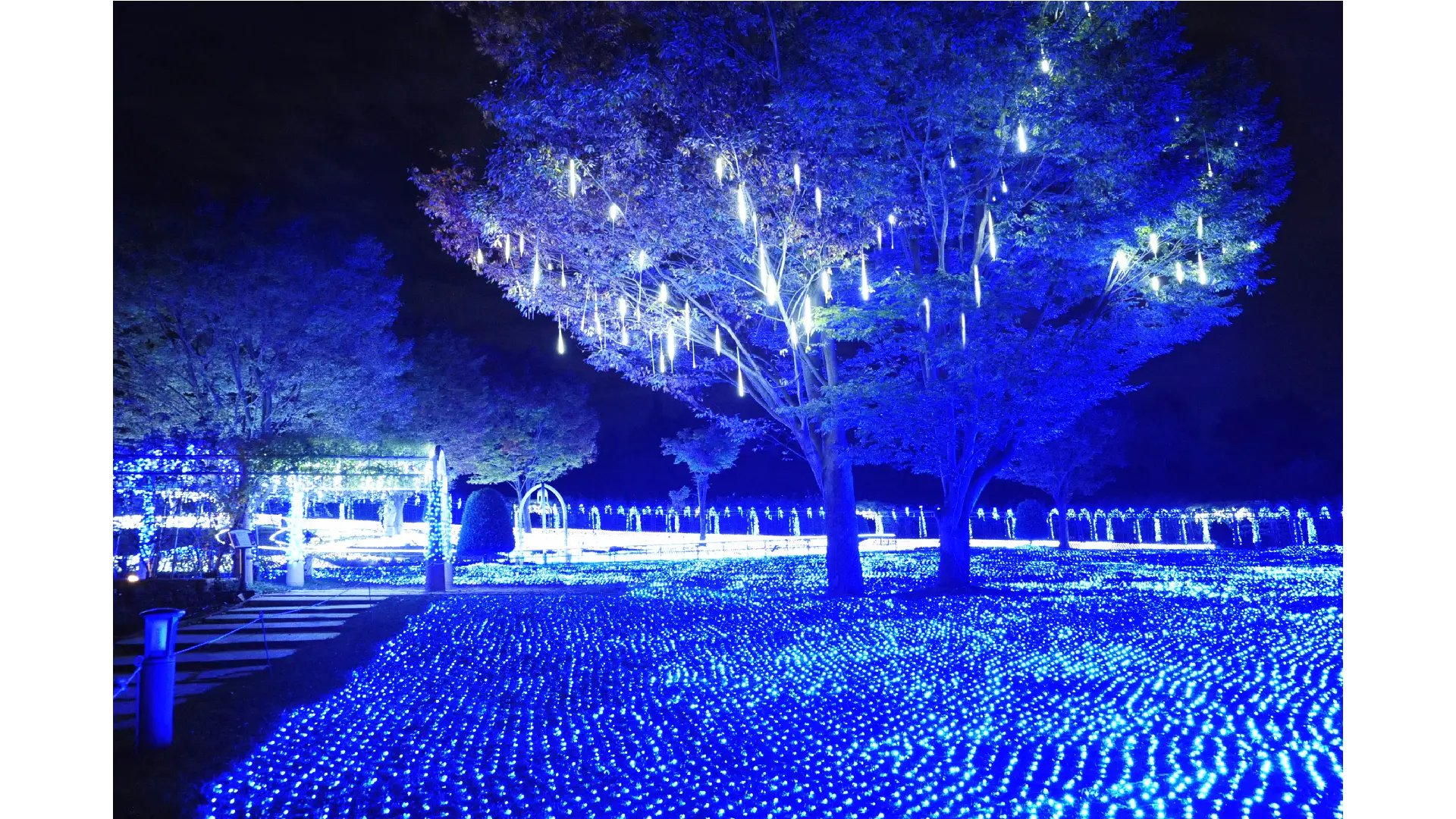 ☆🎄 山梨で楽しむクリスマス — 2025おすすめイベントまとめ☆ 7 https://gvs.weathernews.jp/s/illumination/szyimg/2025/9009731/1763774589.webp?tm=1763796834