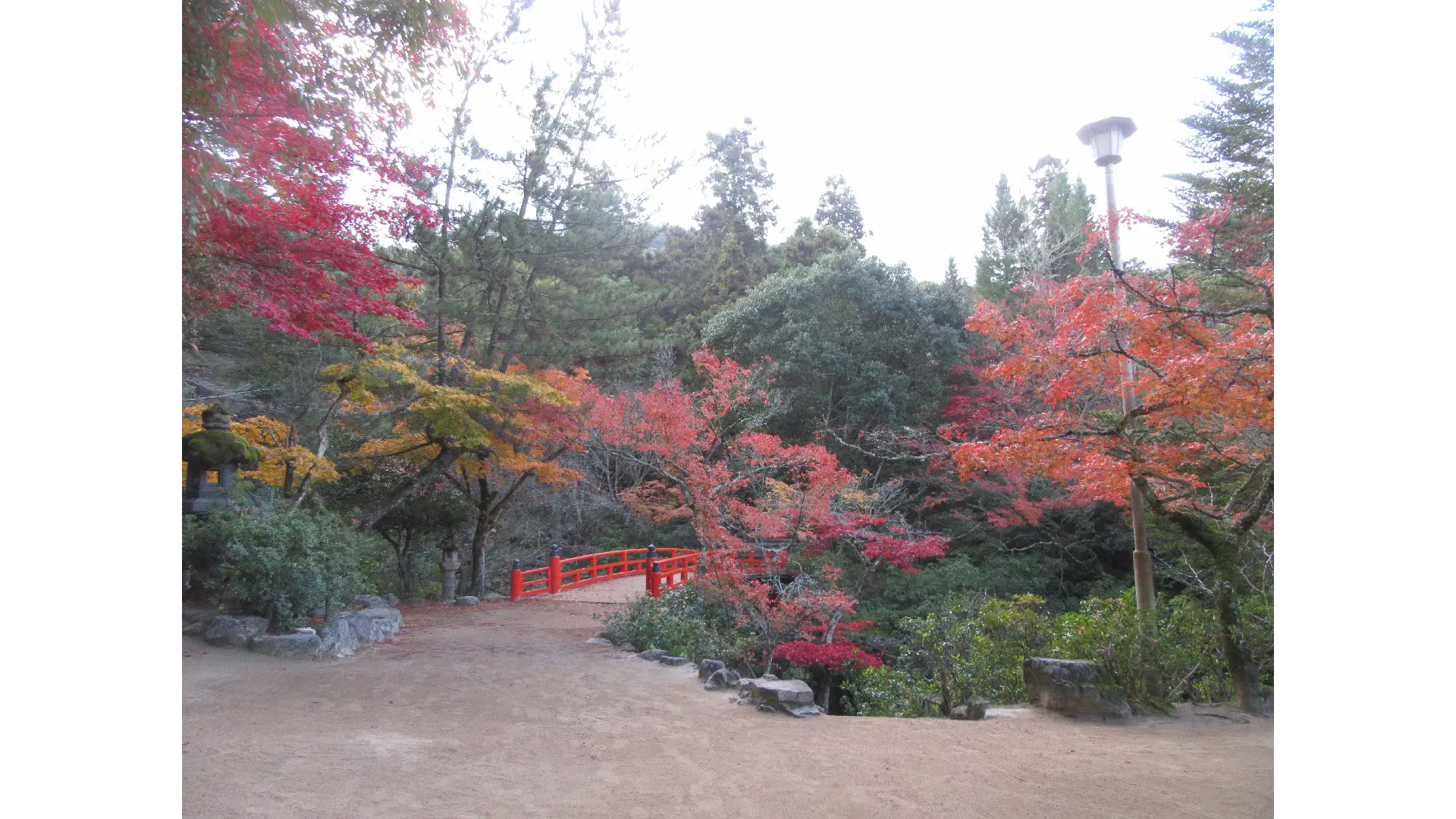 紅葉Ch. | dメニュー天気
