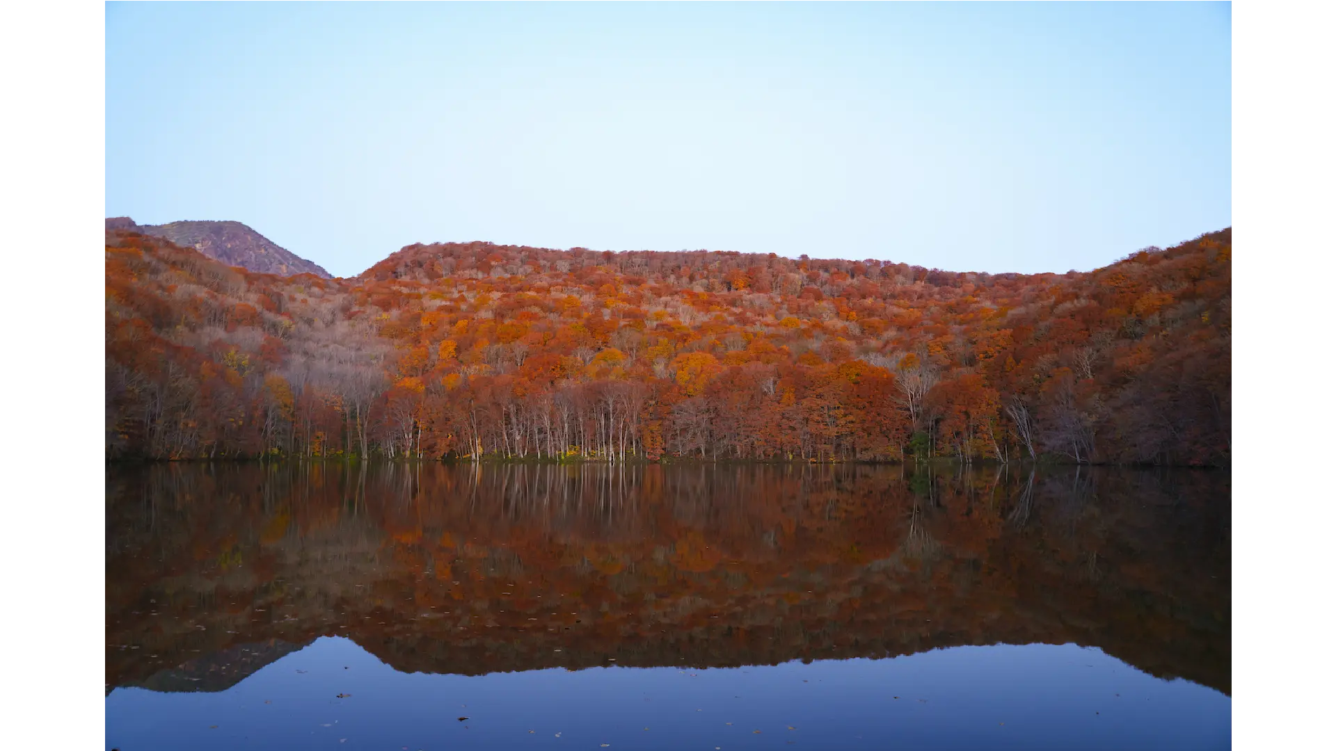 紅葉の奥入瀬渓流.青森県十和田湖 🍁奥入瀬渓流の紅葉（十和田湖）🍁《十和田市》「カメラ散歩【4k