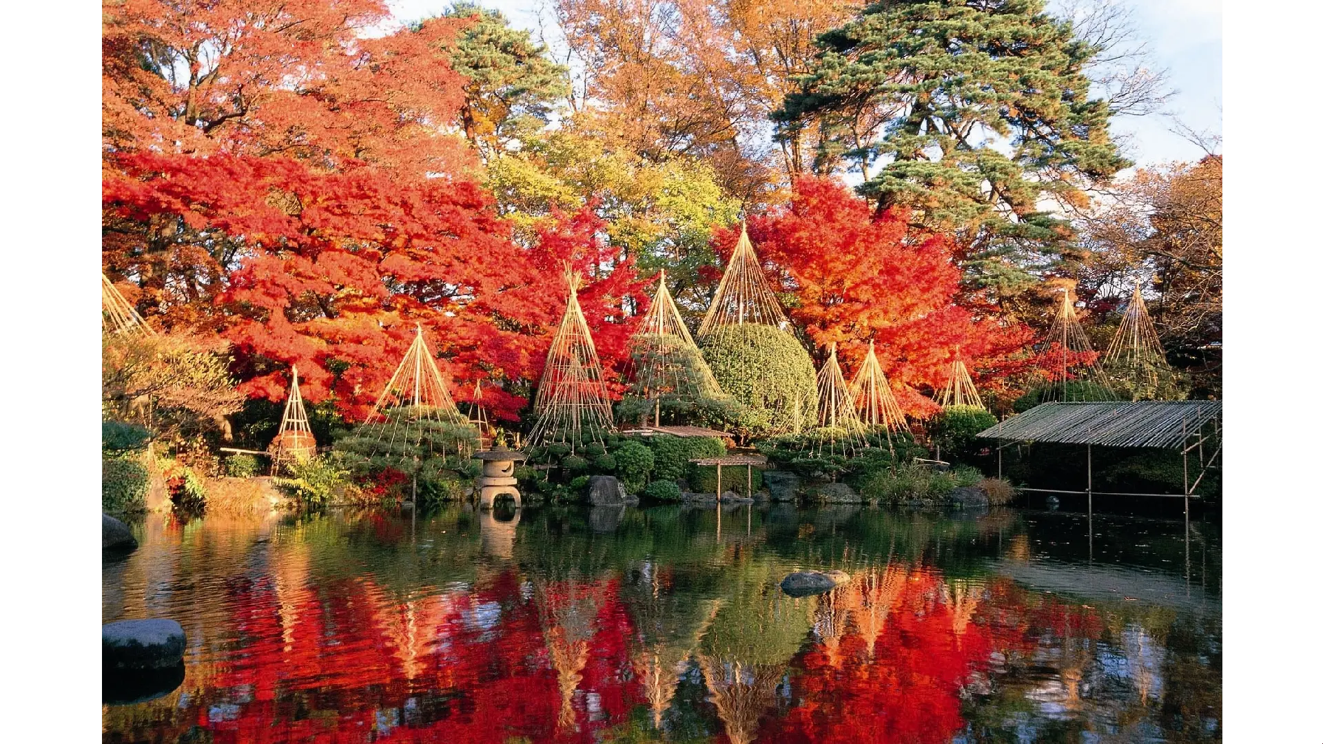 紅葉の賀は賑わいて PR 4枚 もみじ公園の紅葉情報【2024】 - ウェザーニュース