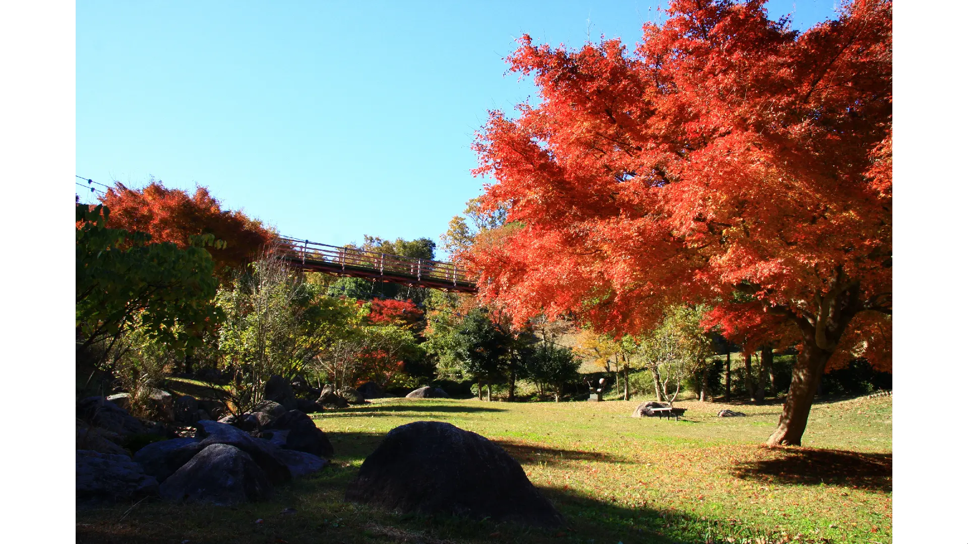 偕楽園（もみじ谷）の紅葉情報【2024】 - ウェザーニュース