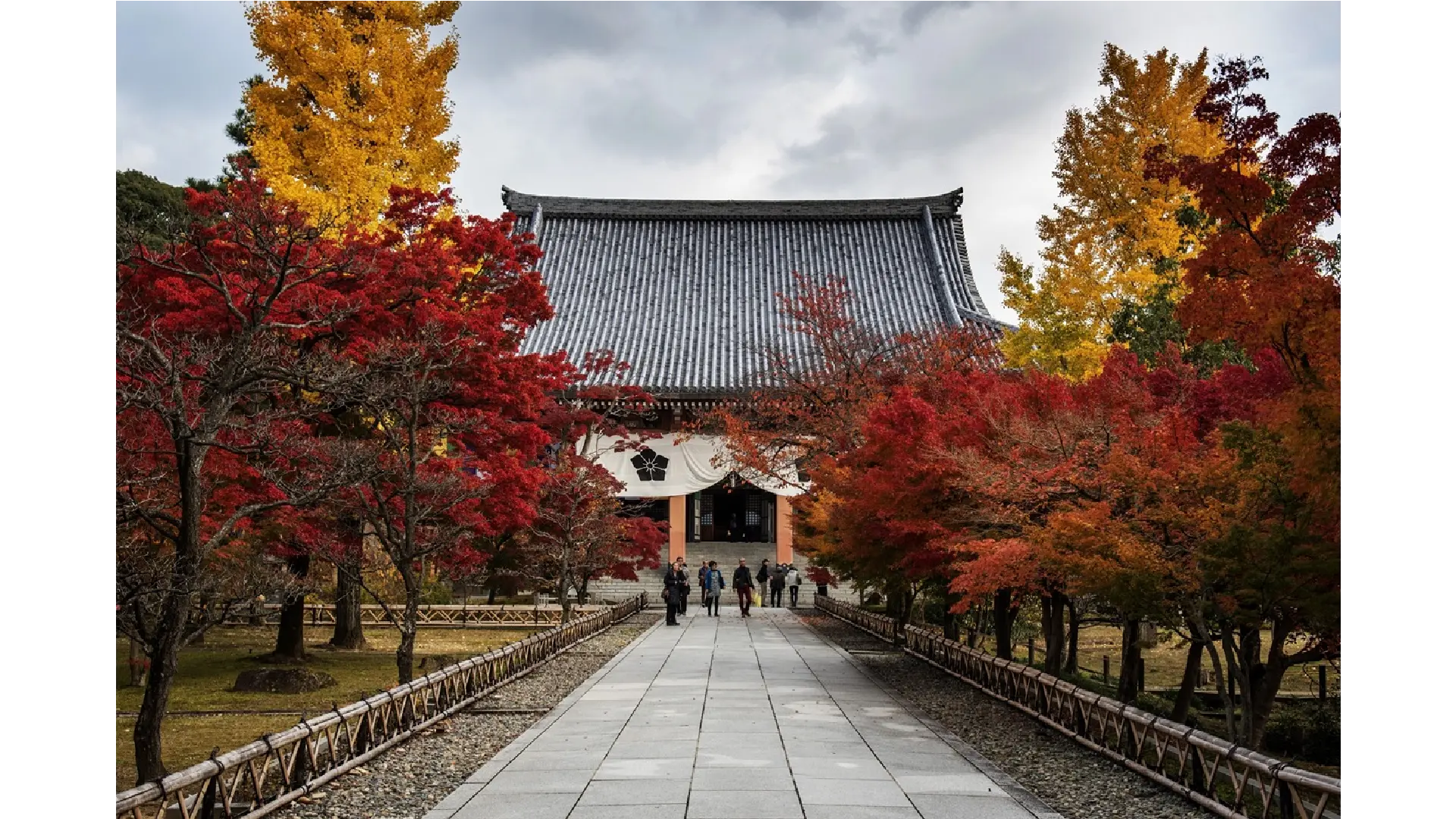 紅葉ページ 智積院の紅葉情報【2024】 - ウェザーニュース