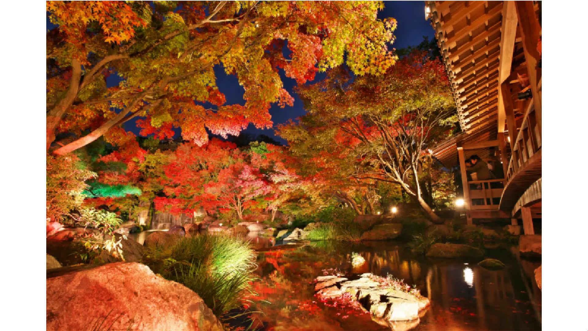 紅葉ページ 紅葉情報 胆沢まるごと案内所