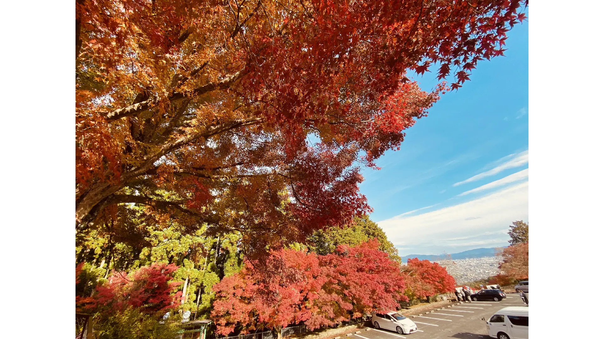 京都の紅葉情報【2025】 - ウェザーニュース