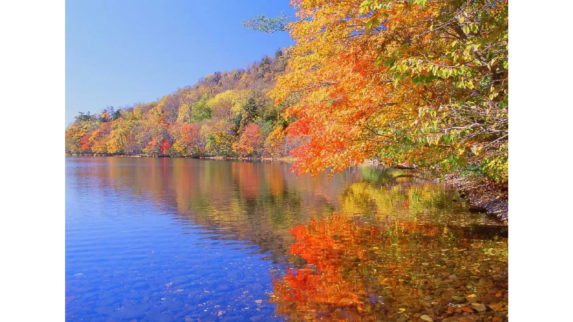 北海道の紅葉名所「ドライブ」【2025】 - ウェザーニュース