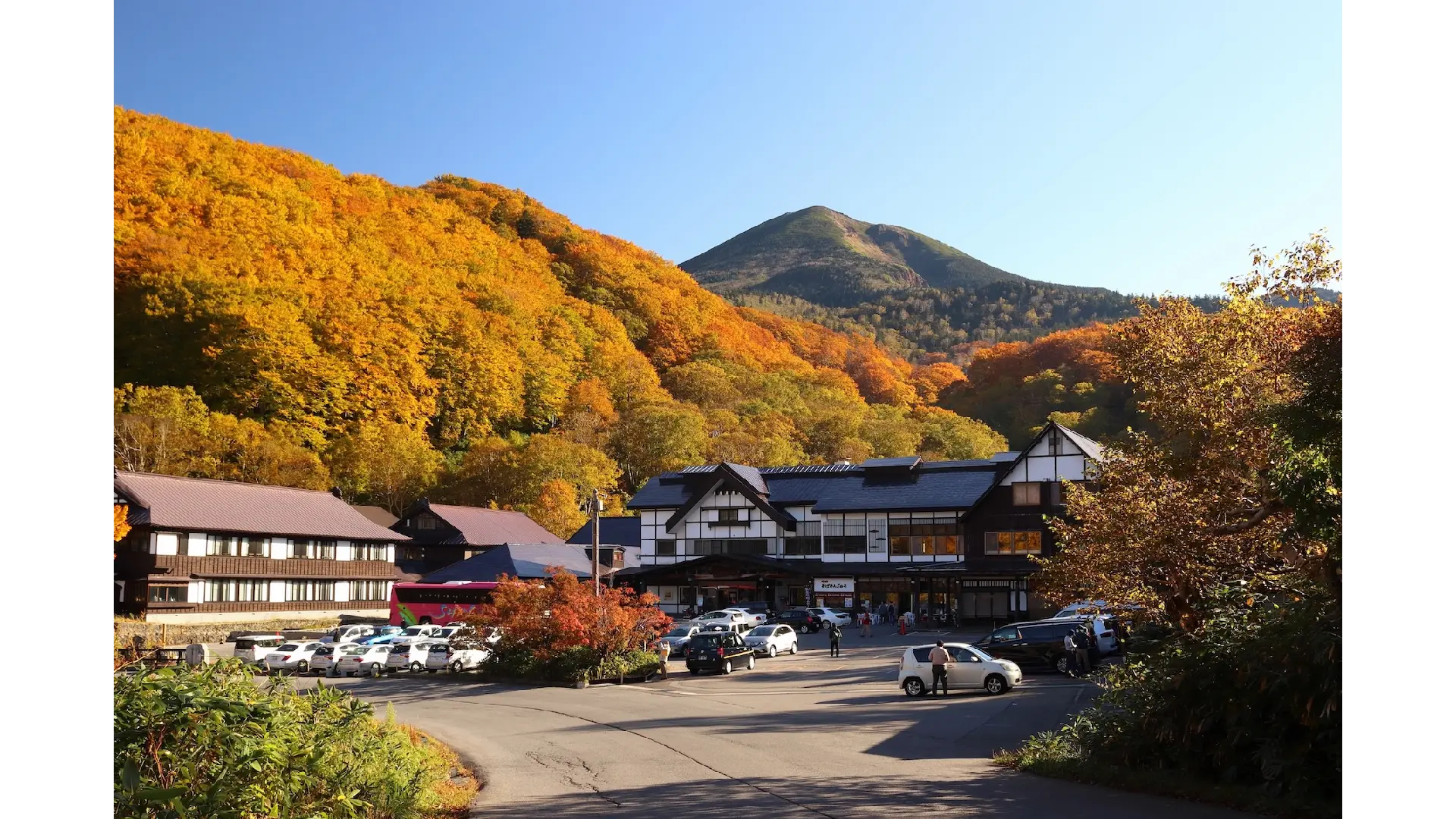 酸ヶ湯温泉の紅葉情報【2025】 - ウェザーニュース