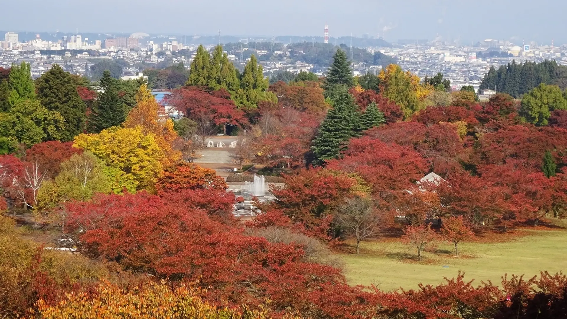 八戸公園の紅葉情報【2025】 - ウェザーニュース