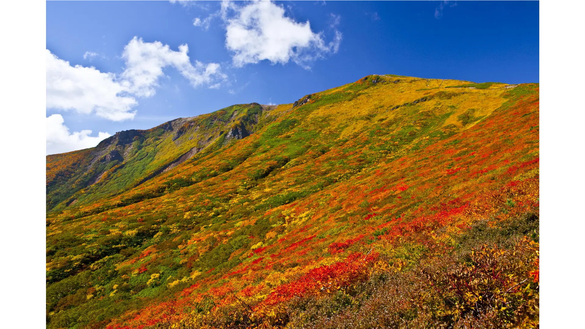 秋山郷 秋山郷(長野側)(nagano)の紅葉見頃情報 - 紅葉Ch. | dメニュー天気