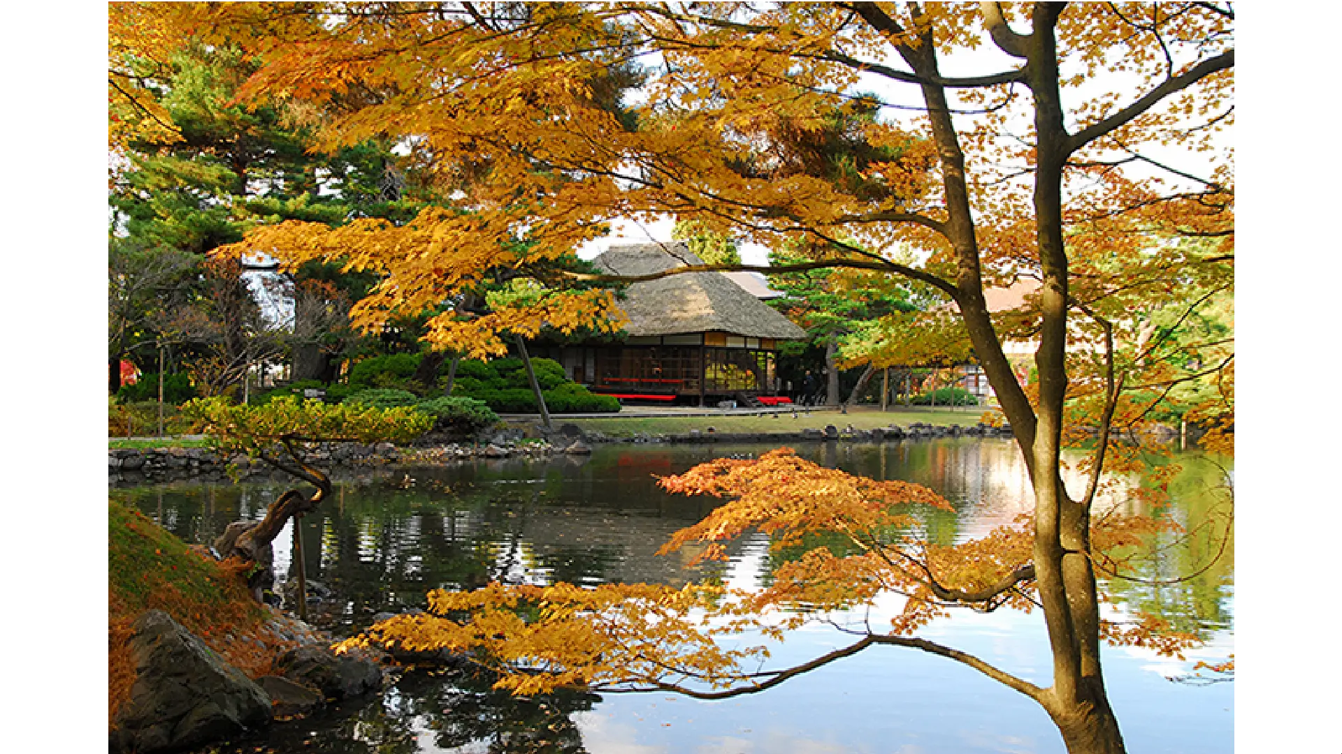 名勝会津松平氏庭園 御薬園の紅葉情報【2025】 - ウェザーニュース