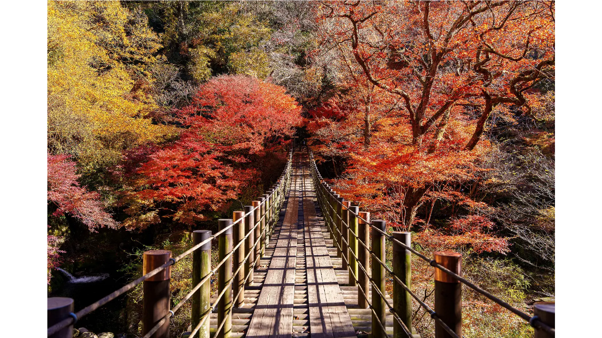 花貫渓谷の紅葉情報【2025】 - ウェザーニュース