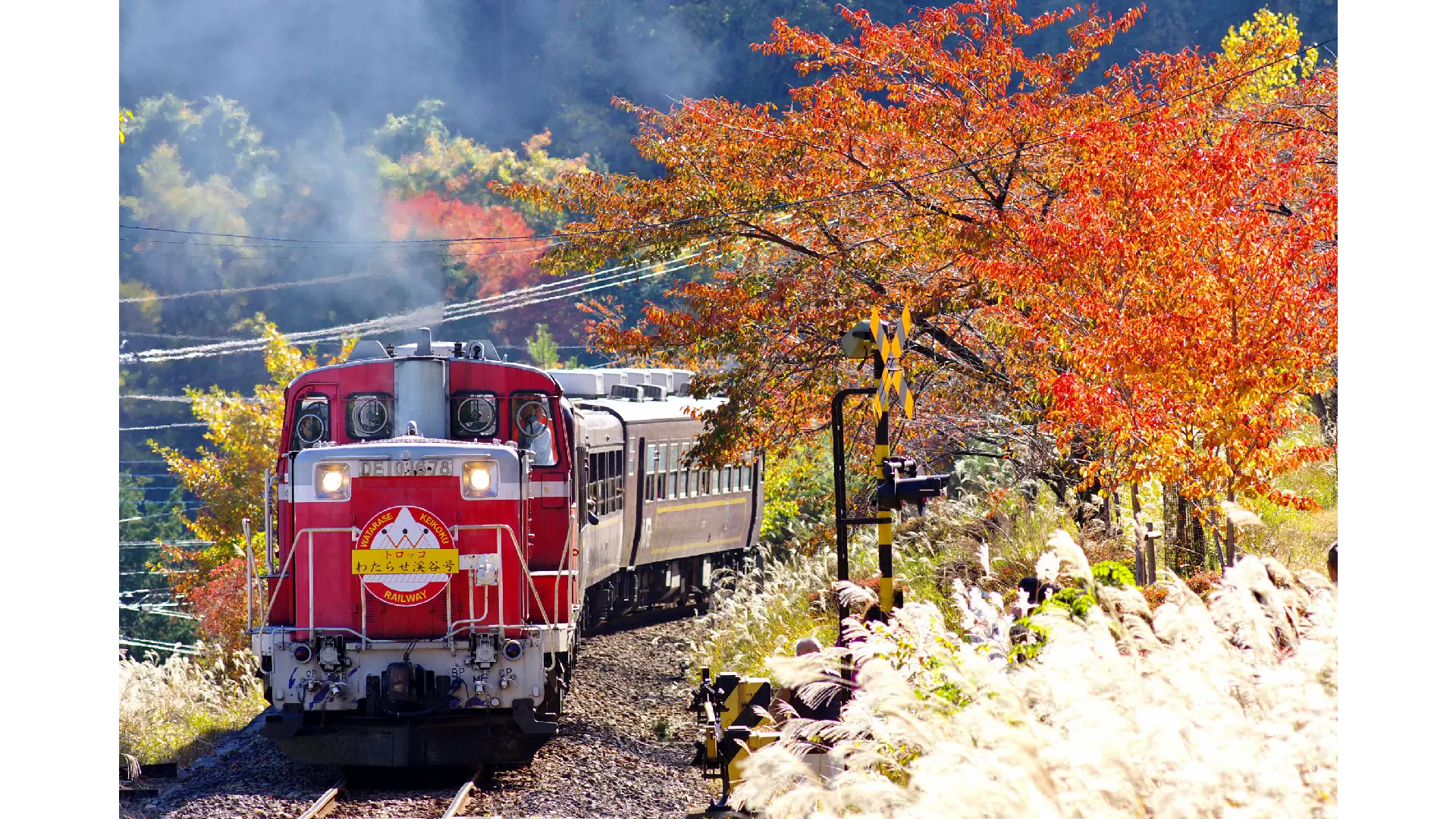 空から日本を見てみよう19 紅葉の関東ローカル線 秩父鉄道・わたらせ渓谷鐵道 [DVD] g6bh9ry Amazon.co.jp: 空から日本を見てみようDVD 22号 (紅葉の関東