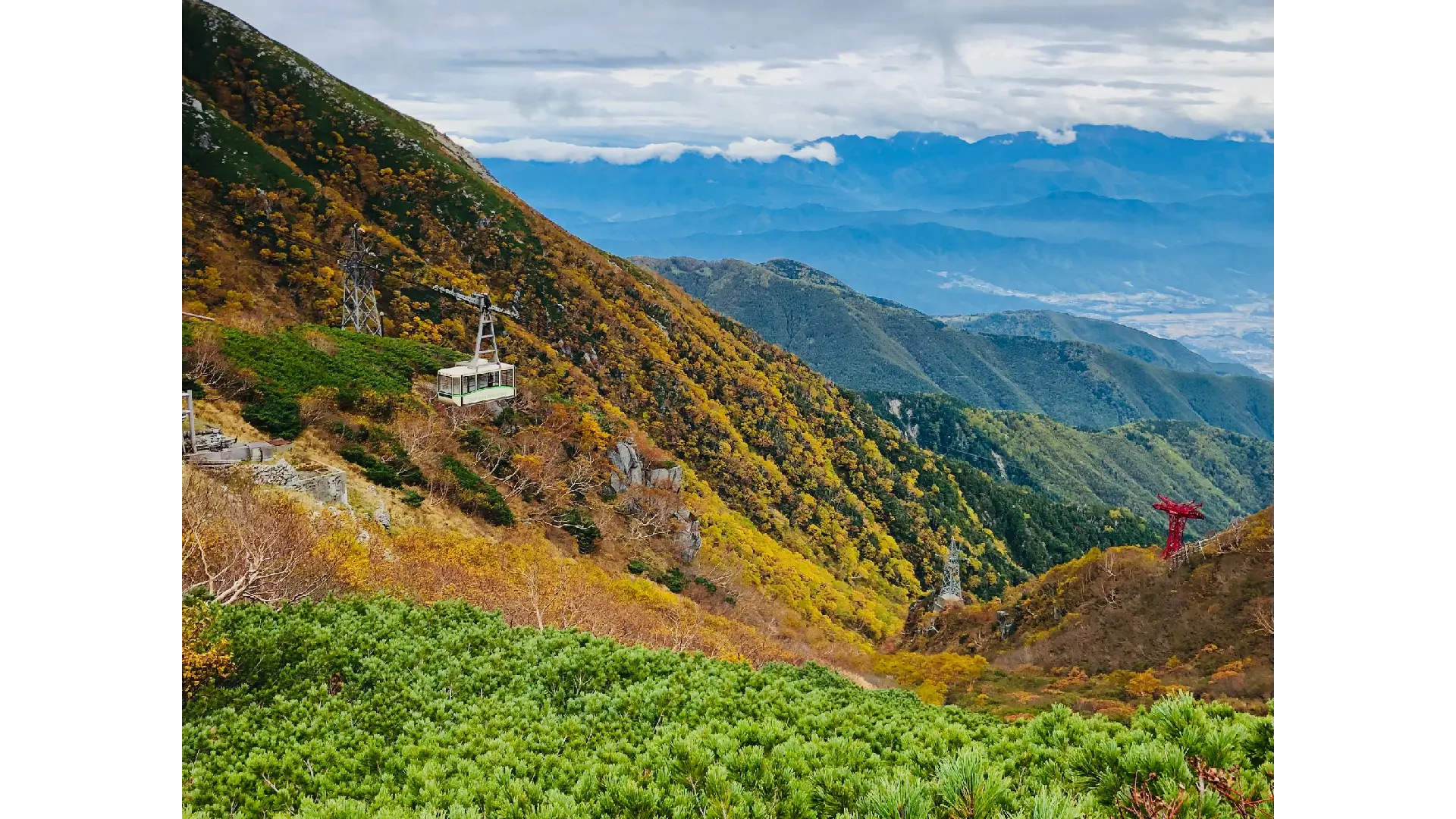 紅水晶 桜の木オブジェ 賽山千樹 紅水晶 桜の木オブジェ 賽山