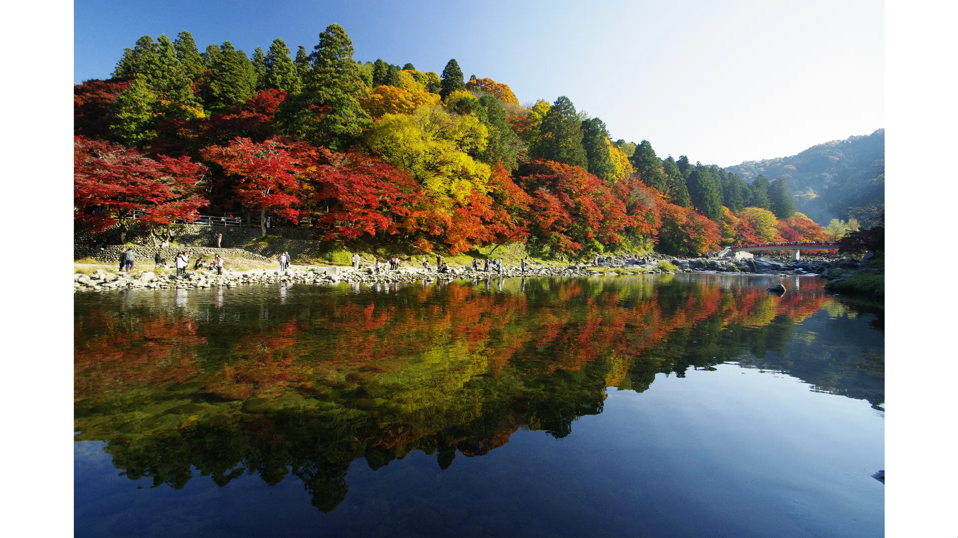 白神山地(ブナ林)(aomori)の紅葉見頃情報 - 紅葉Ch. | dメニュー天気