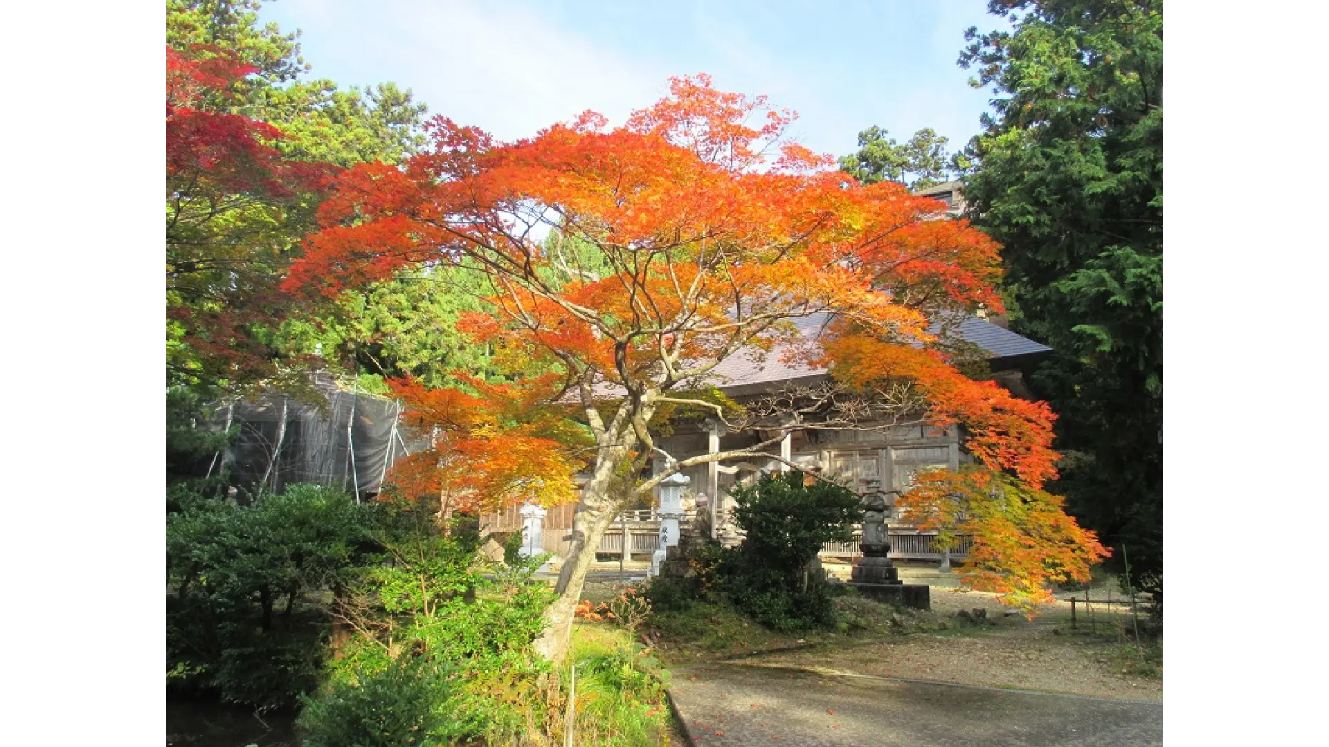 秋山郷(新潟側)の紅葉情報【2025】 - ウェザーニュース