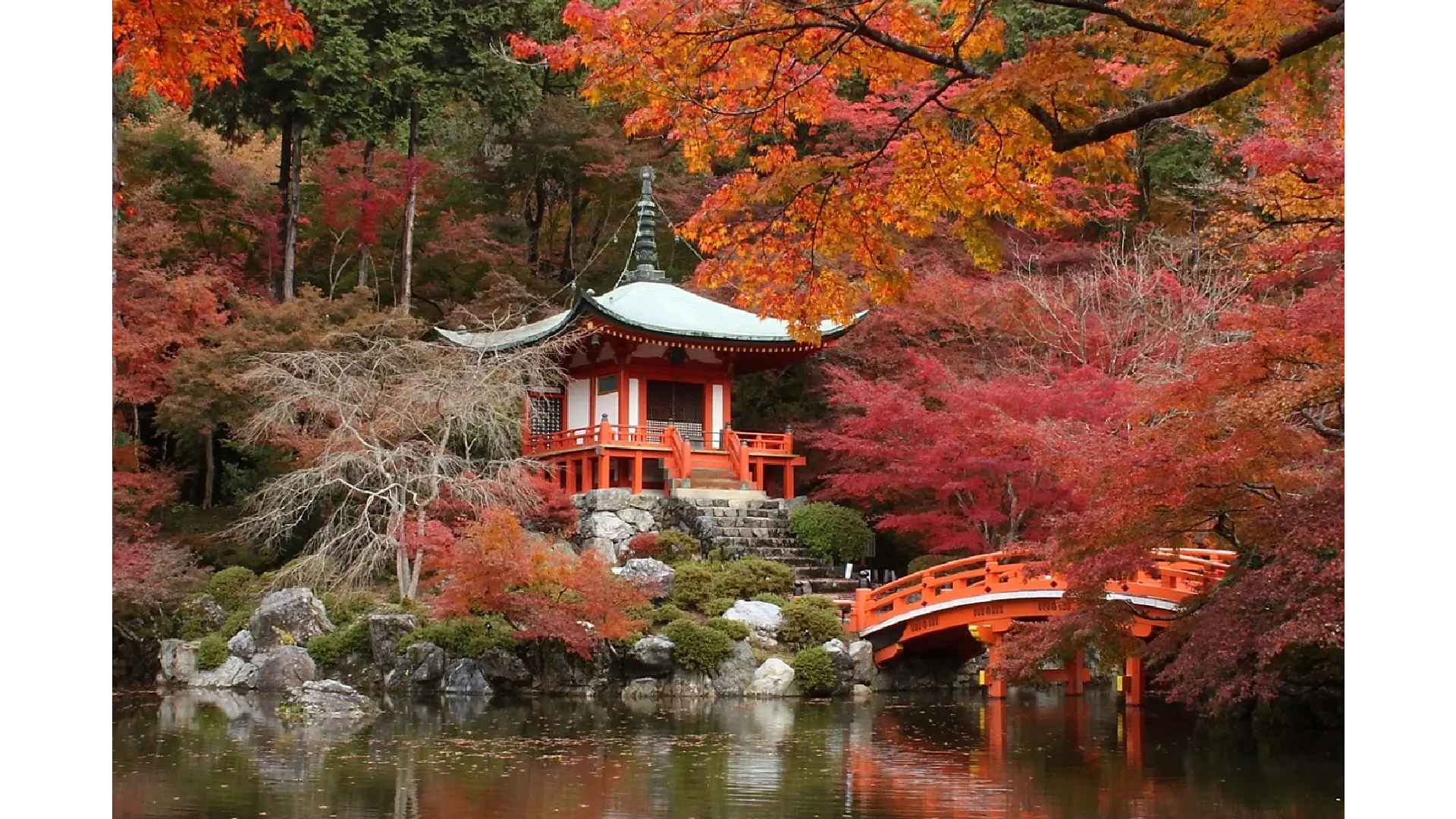 京都の紅葉情報【2025】 - ウェザーニュース