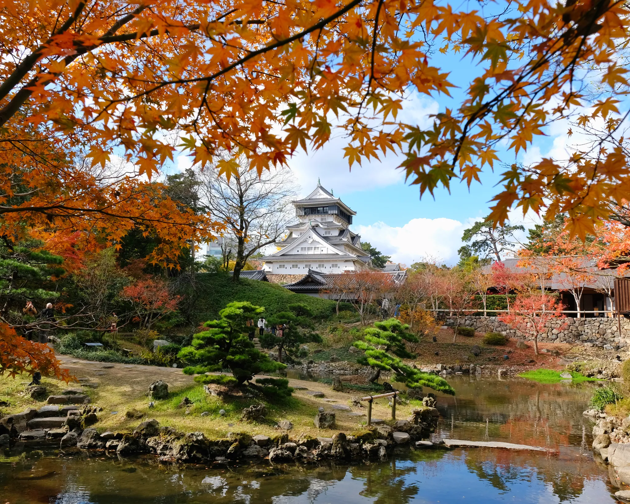 勝山公園(小倉城)の紅葉情報【2025】 - ウェザーニュース