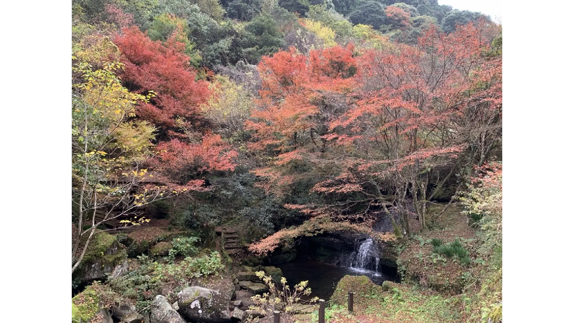 山中渓谷公園(もみじ谷)の紅葉情報【2025】 - ウェザーニュース