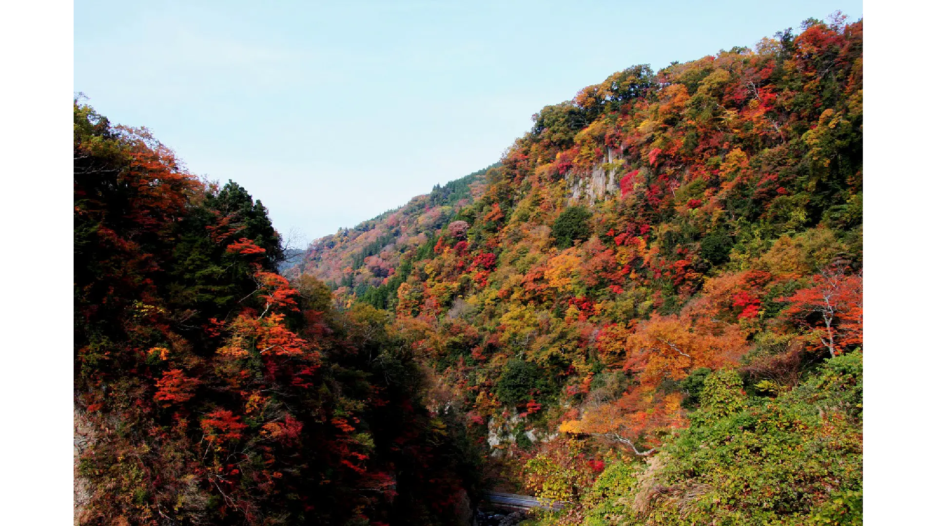 九酔渓の紅葉情報【2025】 - ウェザーニュース
