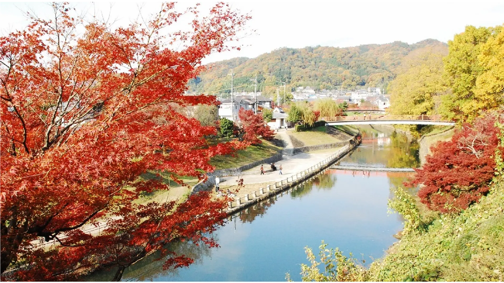 県立竜田公園の紅葉情報【2026】 - ウェザーニュース