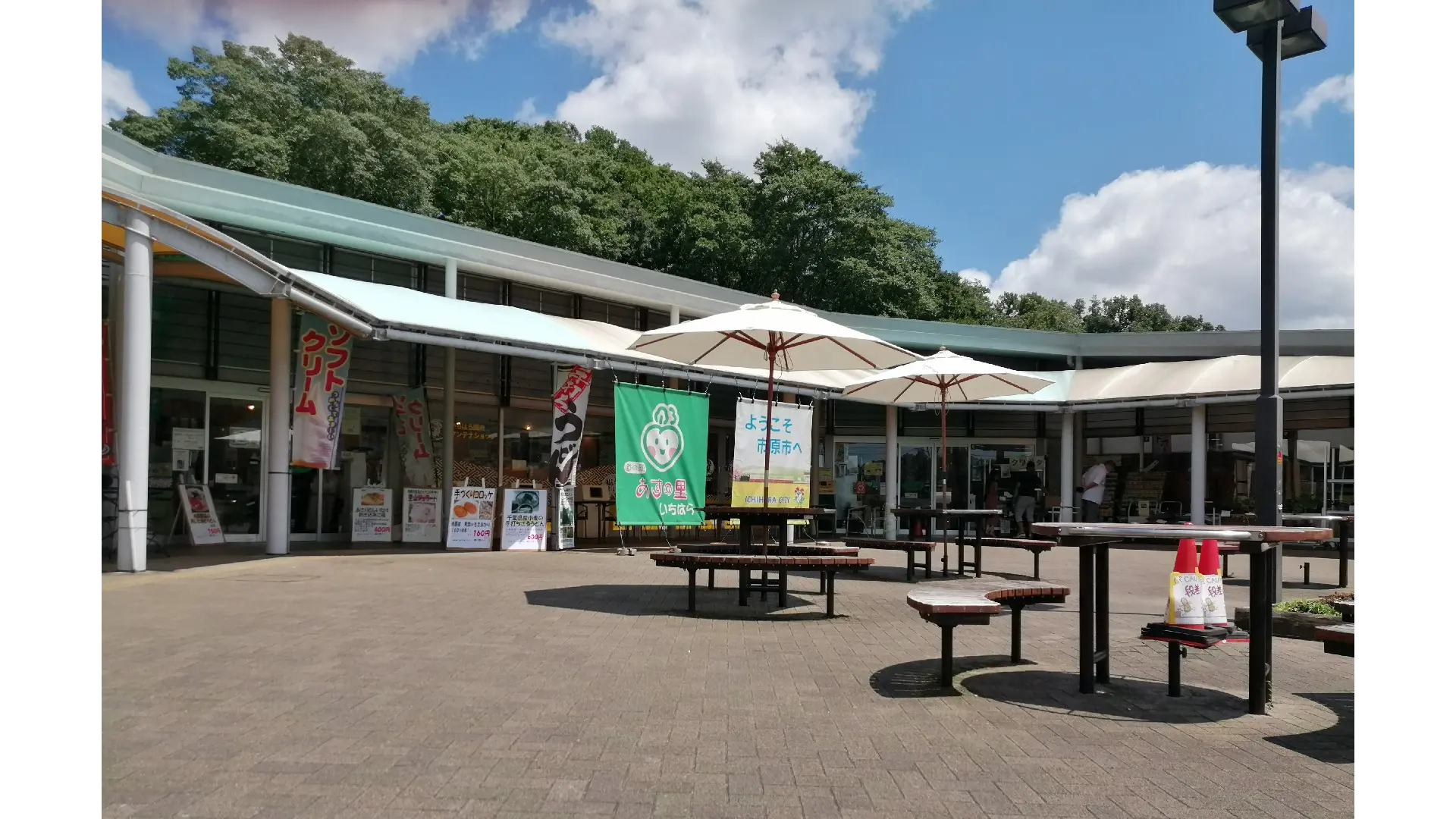 活動歴および当時の関連ビジュアル記録