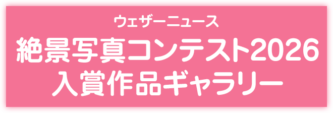 桜フォト祭り