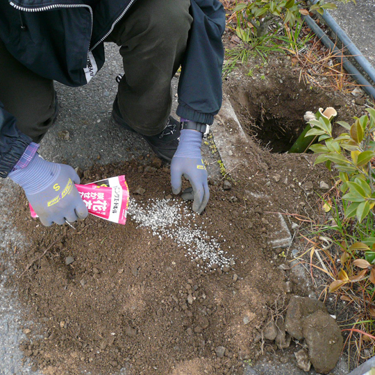 肥料を混ぜる