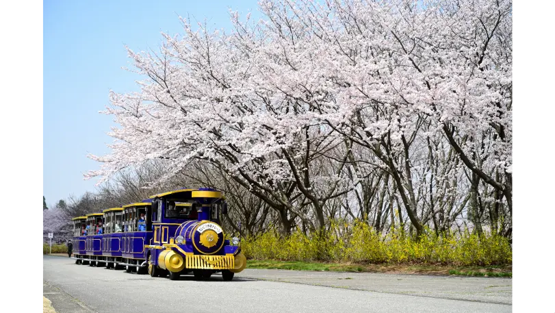 太閤山ランドの花見・桜情報【2025】｜ウェザーニュース