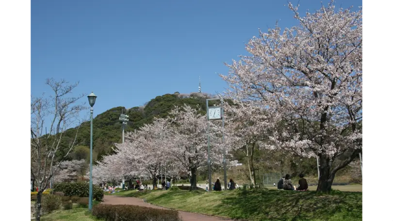 日の隈公園の花見・桜情報【2025】｜ウェザーニュース