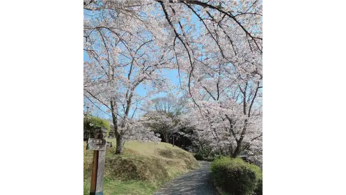 桜②様　ご確認用ページ 桜②様 ご確認用ページ 桜②様 ご確認用ページ 桜②様 ご確認用ページ 桜②