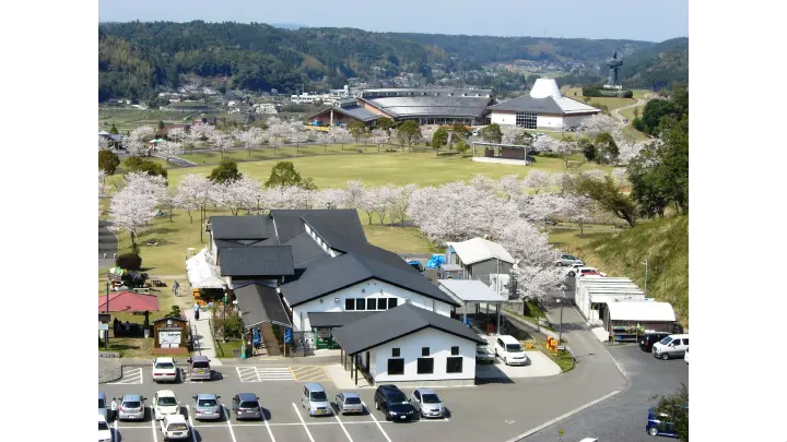 道の駅 おおすみ弥五郎伝説の里の花見・桜情報【2025】｜ウェザーニュース