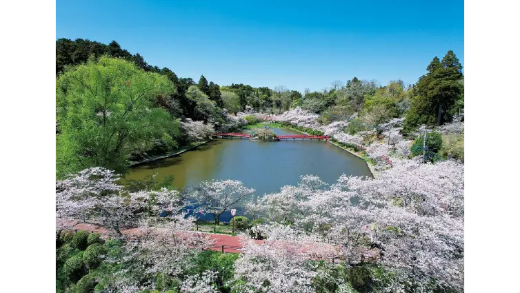茂原公園の花見・桜名所【2026】- ウェザーニュース - ウェザーニュース