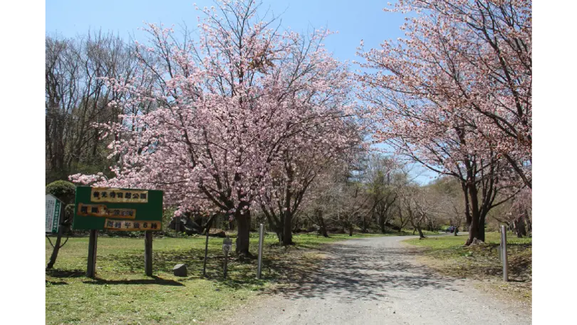 Usu Zenkoji Natural Park