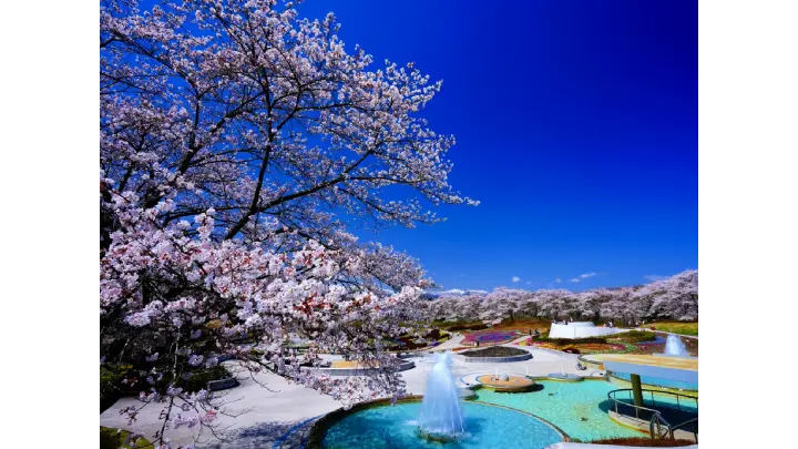 新定 東湖全集/東湖先生之半面 歌川広重「東海道五十三次 箱根 湖水図」浮世絵木版画｜浮世絵工房