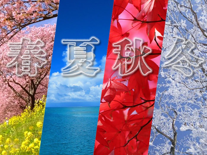倍増の季節　4枚　日本語 日)倍増の季節 / Doubling Season ☆拡張枠☆ 【2XM】 No.350