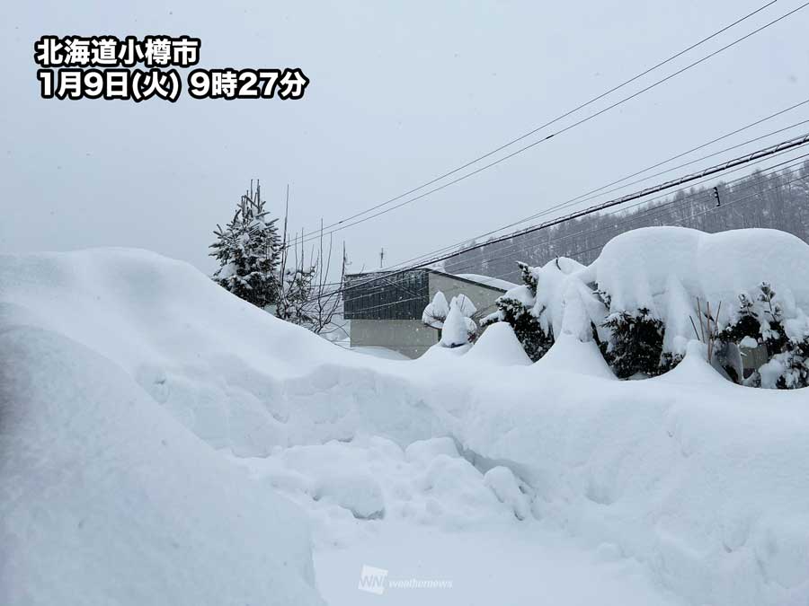 【半額】北海道野球の真髄 旭川工業  積雪1mマイナス20度でもここまでできる ジャパンライム 北海道野球の真髄 旭川工業 佐藤桂一 771-S 全2