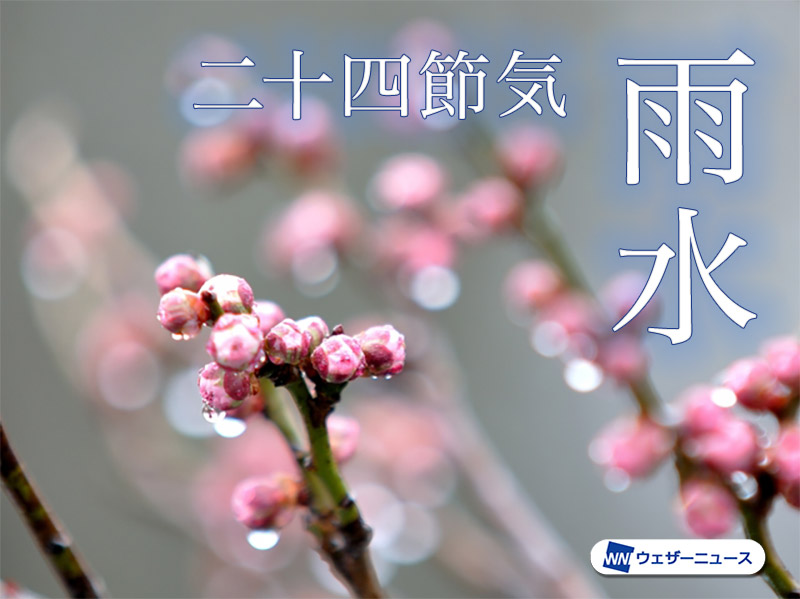 二十四節気「雨水」 春の霞は霧とは別物？など季節の小話をご