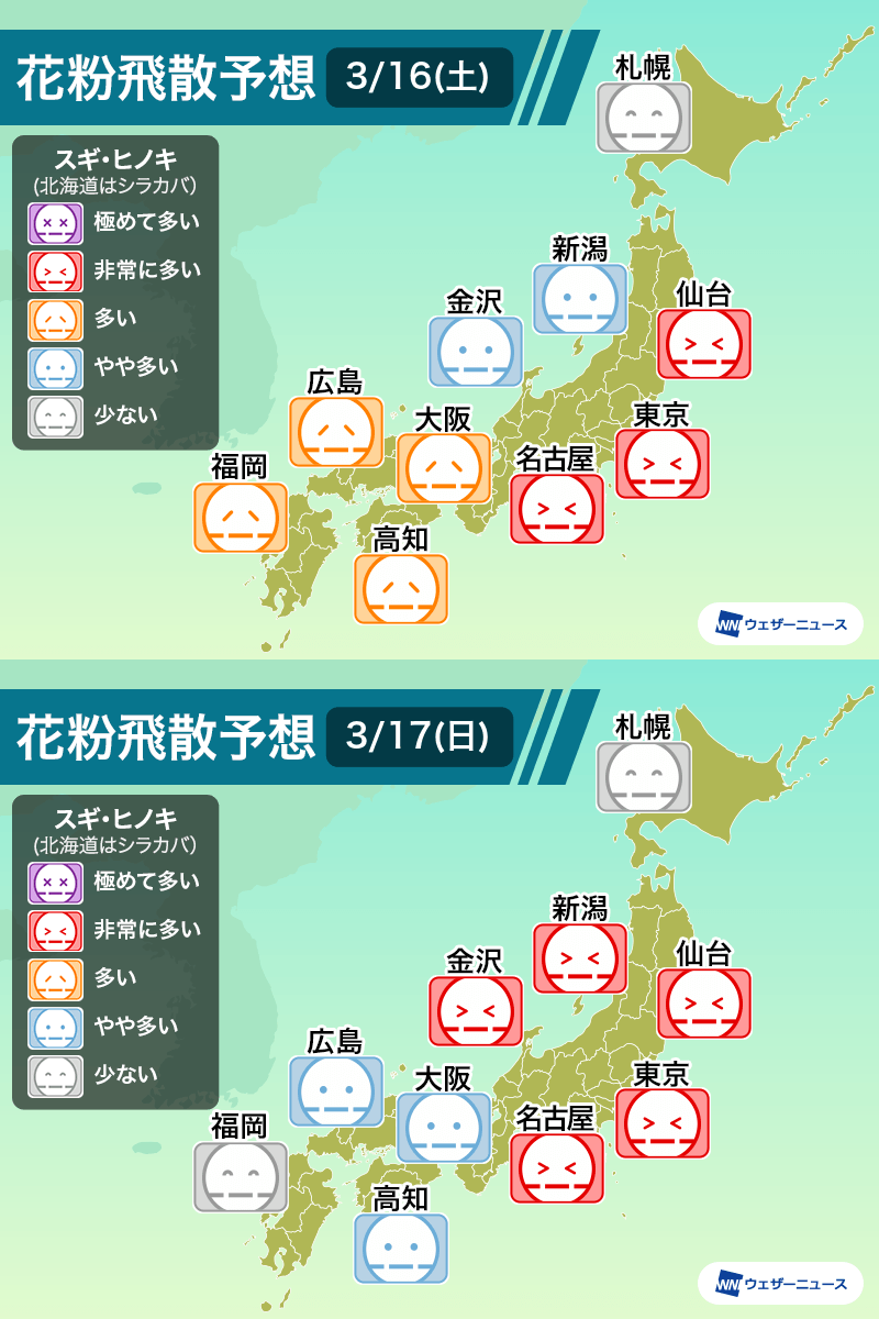 東京 花粉 今日