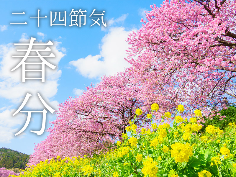 二十四節気「春分」 「さくらの日(3月27日)」も近づく名実ともに”春”の