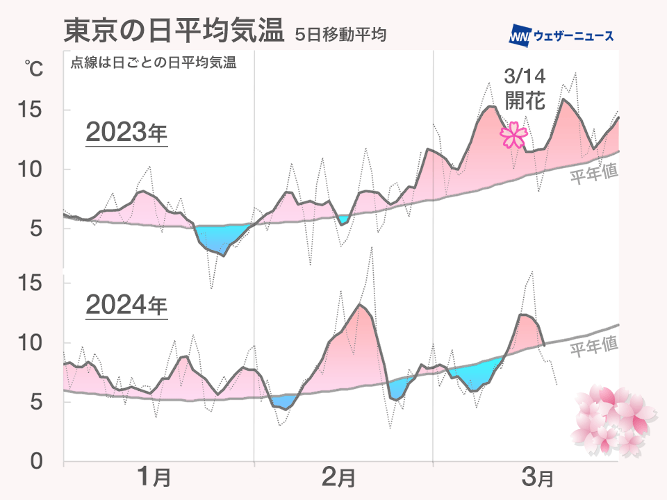 東京 桜の開花が昨年よりも1週間以上遅く 平年は24日 - ウェザーニュース