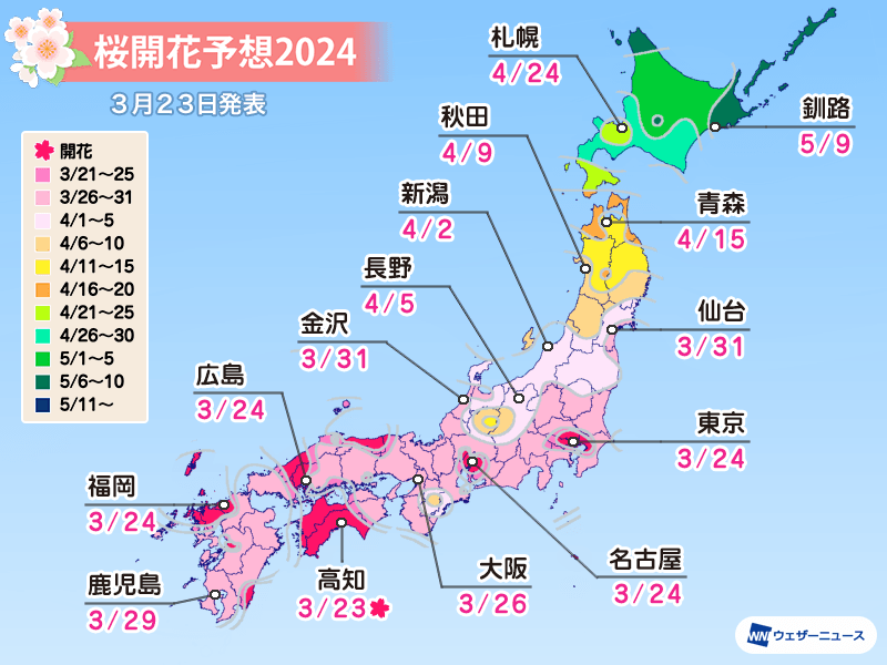 高知で桜が開花 今年全国で1番目のソメイヨシノ開花発表